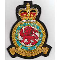 RAF Police wire blazer badge